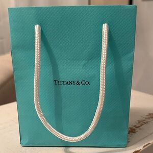 Tiffany & Co. Turquoise Shopping Bag only